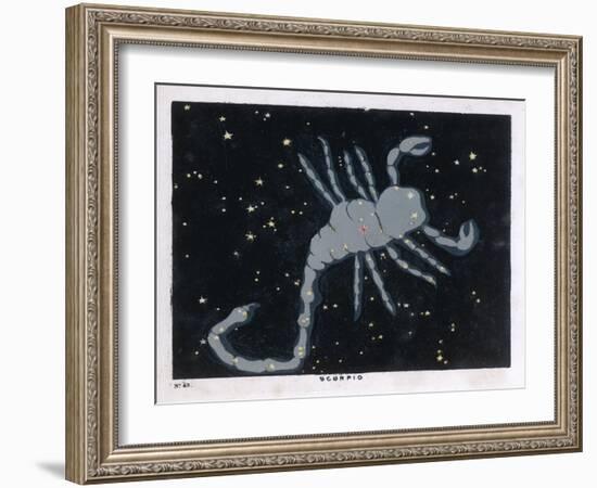 The Constellation of Scorpio, the Scorpion-null-Framed Art Print