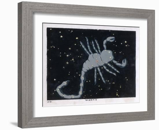 The Constellation of Scorpio, the Scorpion-null-Framed Art Print