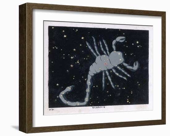 The Constellation of Scorpio, the Scorpion-null-Framed Art Print