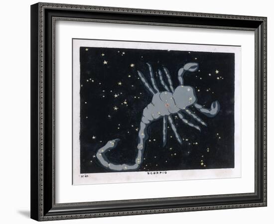 The Constellation of Scorpio, the Scorpion-null-Framed Art Print