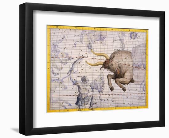 The Constellation of Taurus the Bull and Orion by James Thornhill-Stapleton Collection-Framed Giclee Print