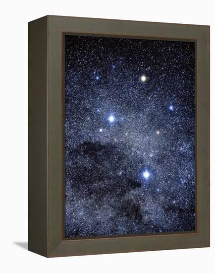 The Constellation of the Southern Cross-Luke Dodd-Framed Premier Image Canvas