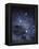 The Constellation of the Southern Cross-Luke Dodd-Framed Premier Image Canvas