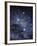 The Constellation of the Southern Cross-Luke Dodd-Framed Photographic Print