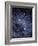 The Constellation of the Southern Cross-Luke Dodd-Framed Photographic Print