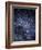 The Constellation of the Southern Cross-Luke Dodd-Framed Photographic Print