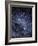 The Constellation of the Southern Cross-Luke Dodd-Framed Photographic Print