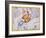 The Constellations of Libra and Scorpio by James Thornhill-Stapleton Collection-Framed Giclee Print