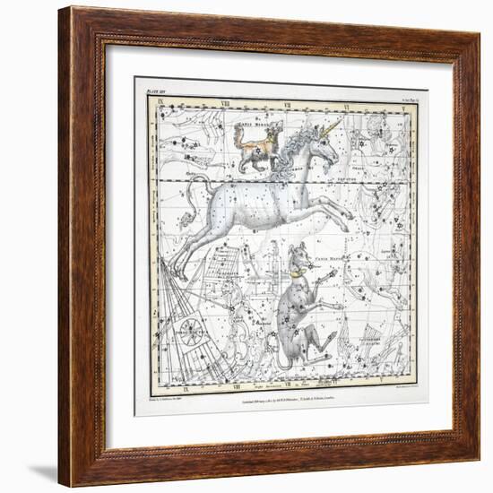 The Constellations-Alexander Jamieson-Framed Giclee Print