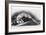 The Contracted Body of Soldier Suffering from Tetanus-Charles Bell-Framed Art Print