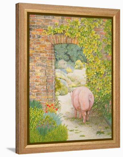 The Convent Garden Pig-Ditz-Framed Premier Image Canvas