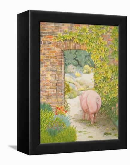 The Convent Garden Pig-Ditz-Framed Premier Image Canvas