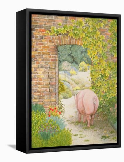 The Convent Garden Pig-Ditz-Framed Premier Image Canvas