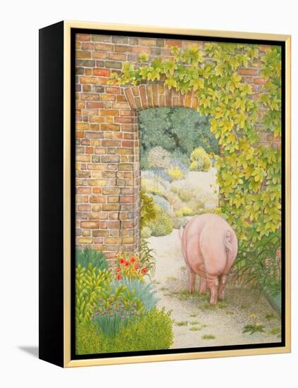 The Convent Garden Pig-Ditz-Framed Premier Image Canvas