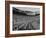 The Convocation of Students Being Held in the Football Stadium at Ohio State University-null-Framed Photographic Print