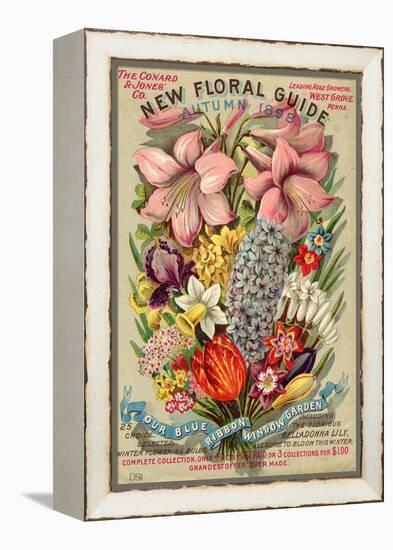 The Conyard and Jones' Co. New Floral Guide, Autumn 1898-null-Framed Stretched Canvas