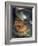 The Cook, C1570-Giuseppe Arcimboldi-Framed Giclee Print