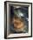 The Cook, C1570-Giuseppe Arcimboldi-Framed Giclee Print