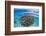 The Coral Ball-Barathieu Gabriel-Framed Photographic Print