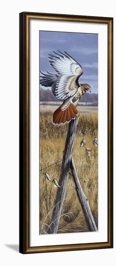 The Corner Post - Red Tailed Hawk-Wilhelm Goebel-Framed Giclee Print