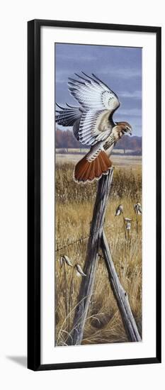 The Corner Post - Red Tailed Hawk-Wilhelm Goebel-Framed Giclee Print