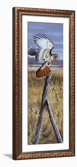 The Corner Post - Red Tailed Hawk-Wilhelm Goebel-Framed Giclee Print