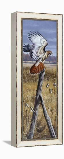 The Corner Post - Red Tailed Hawk-Wilhelm Goebel-Framed Premier Image Canvas