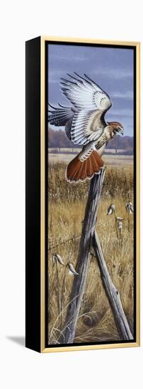 The Corner Post - Red Tailed Hawk-Wilhelm Goebel-Framed Premier Image Canvas