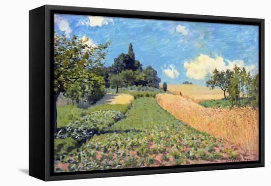 The Cornfield (Near Argenteuil)-Alfred Sisley-Framed Premier Image Canvas