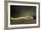 The Corpse-Felix Edouard Vallotton-Framed Giclee Print