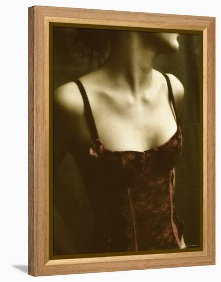 The Corsage, no. 1-Monika Brand-Framed Premier Image Canvas