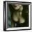 The Corsage, no. 2-Monika Brand-Framed Photographic Print