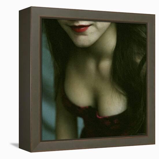 The Corsage, no. 2-Monika Brand-Framed Premier Image Canvas