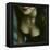 The Corsage, no. 2-Monika Brand-Framed Premier Image Canvas