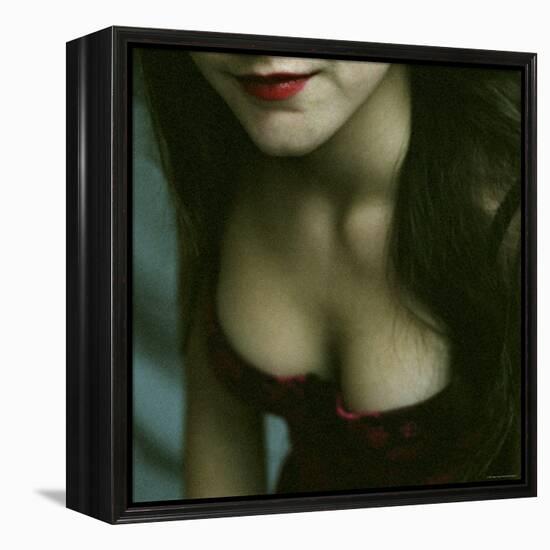 The Corsage, no. 2-Monika Brand-Framed Premier Image Canvas