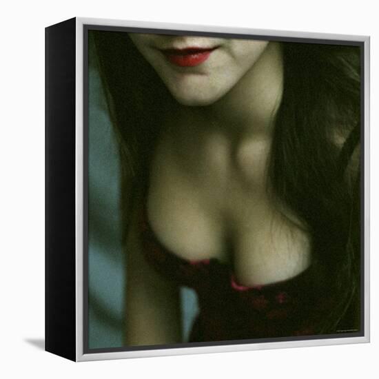 The Corsage, no. 2-Monika Brand-Framed Premier Image Canvas