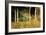 The Cottage Amongs The Birch Trees-Berthe Morisot-Framed Art Print