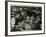 The Count Basie Orchestra in Concert, C1950S-Denis Williams-Framed Photographic Print