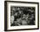 The Count Basie Orchestra in Concert, C1950S-Denis Williams-Framed Photographic Print