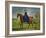 The Countess of Coningsby in the Costume of the Charlton Hunt, c.1760-George Stubbs-Framed Giclee Print