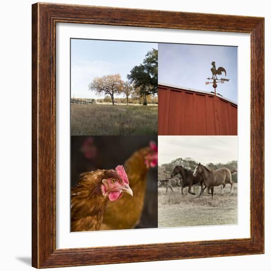 The Country II-Sidney Aver-Framed Art Print