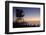 The Cove with lifeguard stand, La Jolla, San Diego, California, USA-Bill Bachmann-Framed Photographic Print