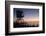 The Cove with lifeguard stand, La Jolla, San Diego, California, USA-Bill Bachmann-Framed Photographic Print