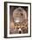 The Covered Bazaar, Isfahan, Iran, Middle East-Sergio Pitamitz-Framed Photographic Print