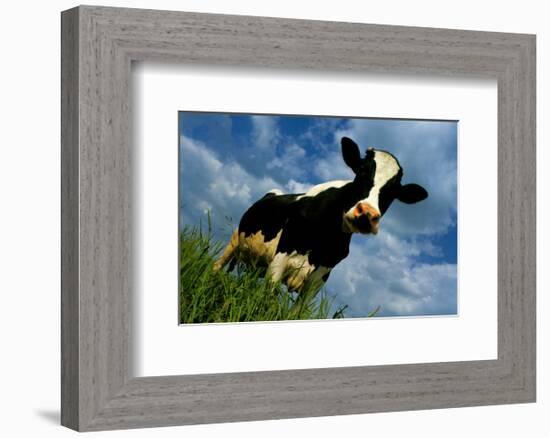 The Cow-Emmanuel Panais-Framed Art Print