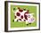 The Cow-Nathalie Choux-Framed Art Print