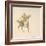 The Cowboy, C.1897 (W/C on Paper)-Frederic Remington-Framed Giclee Print