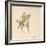 The Cowboy, C.1897 (W/C on Paper)-Frederic Remington-Framed Giclee Print