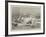 The Cowes Week, a General View of the Regatta-William Lionel Wyllie-Framed Giclee Print