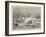 The Cowes Week, a General View of the Regatta-William Lionel Wyllie-Framed Giclee Print